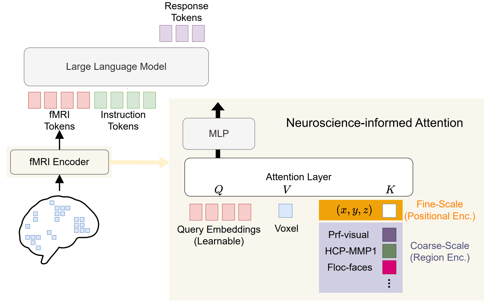 Architecture of MindLLM.