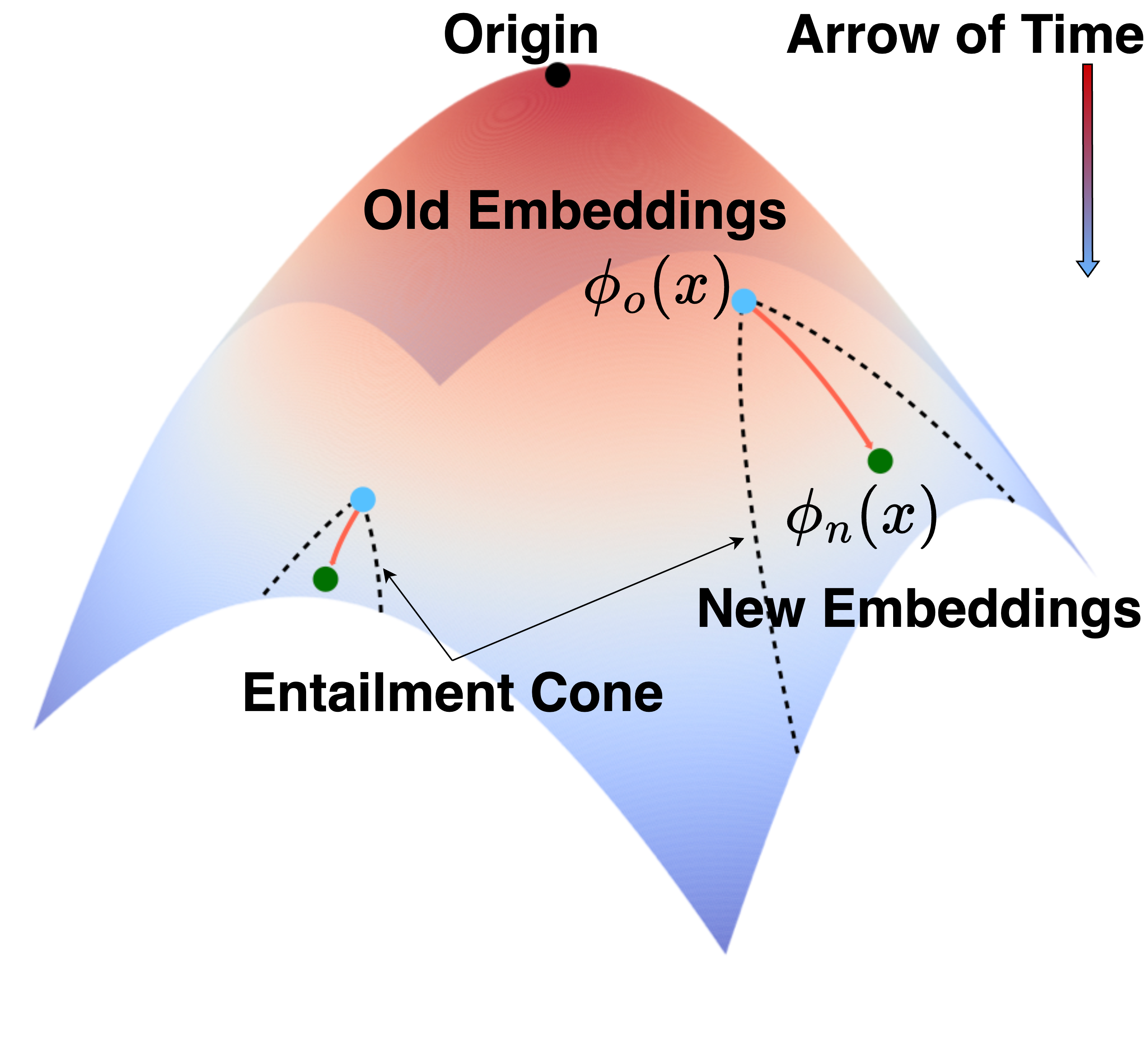 Simulating the model evolution in hyperbolic space with the entailment cone.|scale=0.3