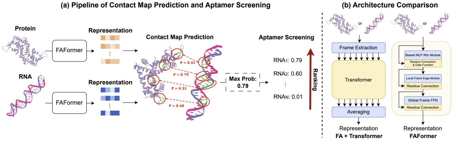 Figure 2: (a) The pipeline of contact map prediction between protein and nucleic acid, and applying the predicted results for screening in an unsupervised manner. (b) Comparison between Transformer with vanilla frame averaging framework and FAFormer, where the blue cells indicate FA-related modules. |scale=0.8
